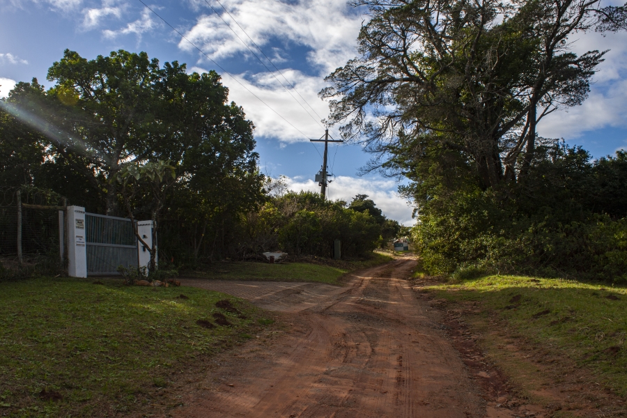 0 Bedroom Property for Sale in Bathurst Eastern Cape